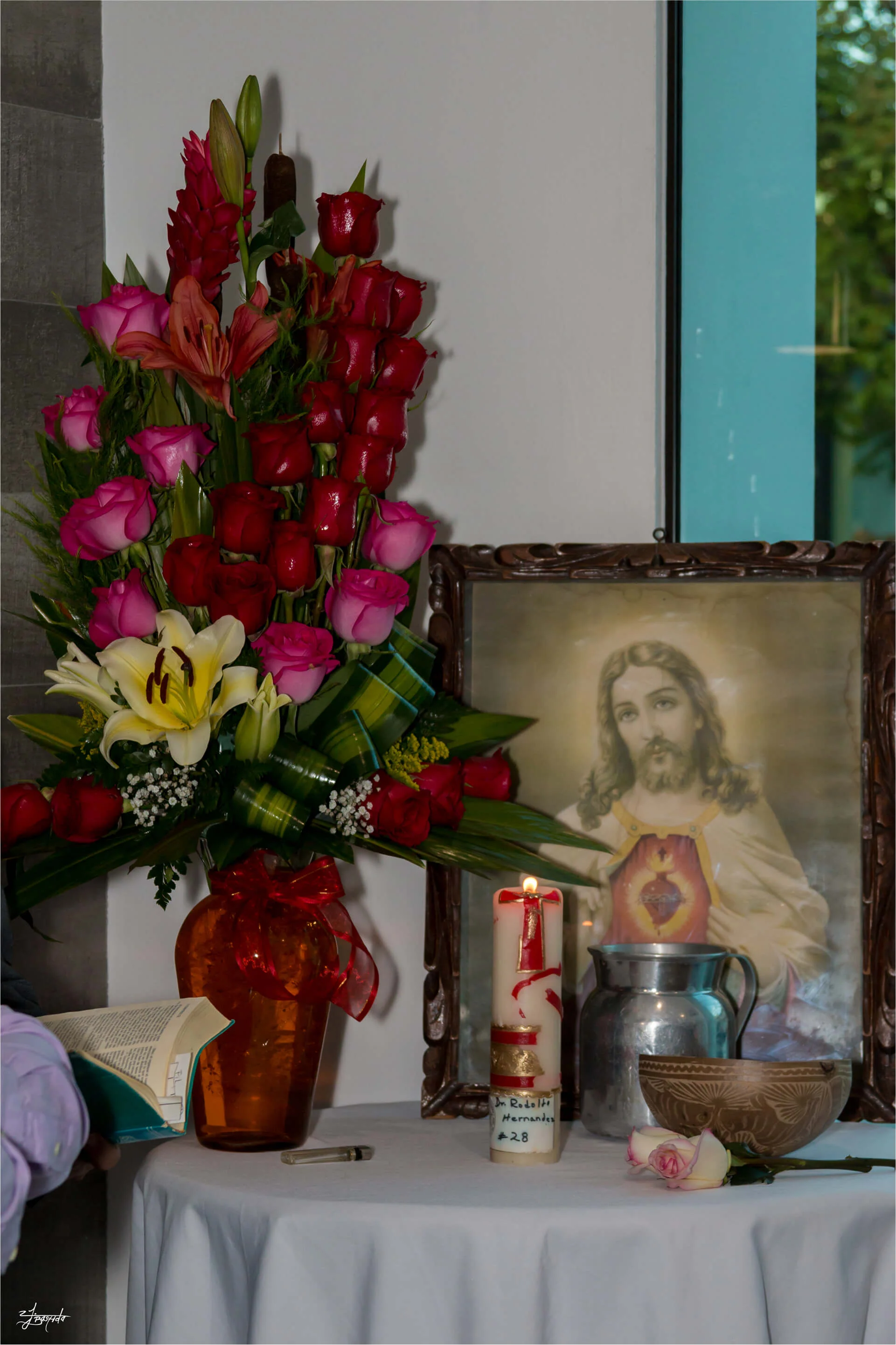 Imagen 8